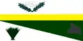 Flag of Santaluz