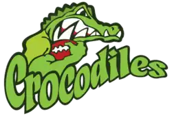 Team logo
