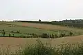 Kotesica - panorama