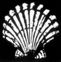 1904–09