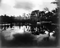 Silver Springs, Florida
