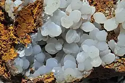 Botryoidal smithsonite: Ojuela Mine, Mapimi, Mun. de Mapimi, Durango, Mexico