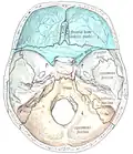 Illustration.