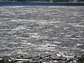 Tree mats on Spirit Lake, 2012