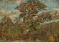Spreading Oak