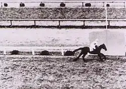 Tokyo Yushun