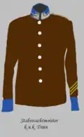 Stabswachtmeister (der Traintruppe) vor 1913 (Cavalry 1st sergeant, train troops before 1913)