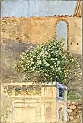 Blossoming Tree near Villa d'Este, watercolour, 1922, (National Museum in Warsaw), phot. Zbigniew Doliński