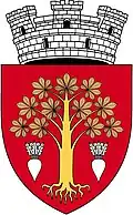 Coat of arms of Biruința