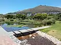 Stepping stone bridge in Green Point Park.