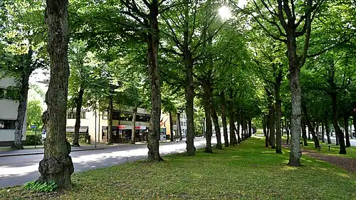 Esplanade along Storagatan.