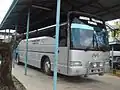 School bus