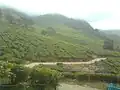 Suryanelli Tea estate