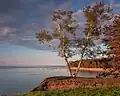 Coastline