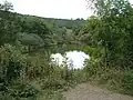 Arundel Park