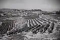 Ma'ale HaHamisha 1945