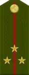 Лейтенанти калон Lejtenanti kalon (Tajik National Army)[19]