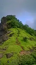 Trek path