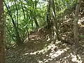 Mount Tavagnone, a glimpse of the mule track leading from the mount to the village of Fucina