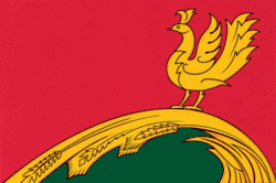 Flag of Terbunsky District