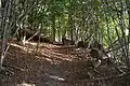 Brockhoult Mount