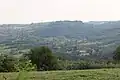 Tolić - panorama