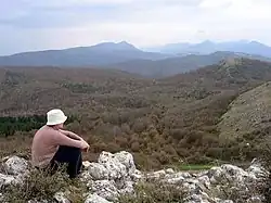Trascău view