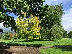 Llanover Park
