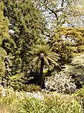 Trelissick view