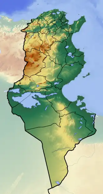 Chemtou is located in Tunisia