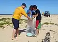 Barking Sands, Hawaii cleanup, 2011