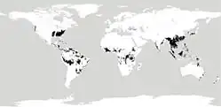 Utlisols of the world