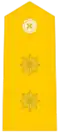 Teniente Coronel