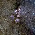 Infrared view of NGC 6334