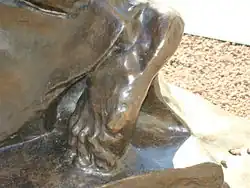 foot