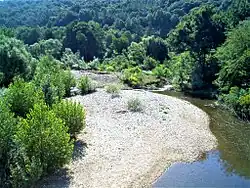 The Veleka