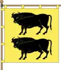 Flag of Velykyi Bychkiv