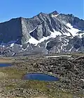 Vennacher Needle