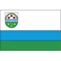 Flag of Veselynivskyi Raion