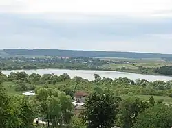 View Lapshyn