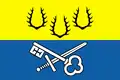 Flag of Holýšov