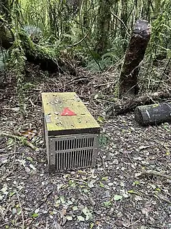 Stoat trap