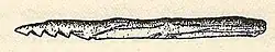 Bone harpoon