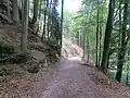 Typical hillside path