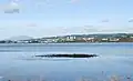 Langbank East Crannog