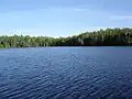 Looking southeast over Whale Lake