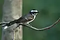 At Sindhrot in Vadodara District of Gujarat, India.