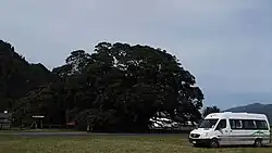 Te Waha o Rerekohu