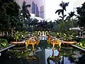 Hotel swimming pool and garden