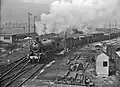 Locomotive NS 5018 (ex-WD 73689) with a goods train in the yard of Susteren.